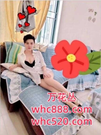 禅城区气质女神服务好-温暖