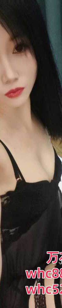 白云嘉禾望岗地铁站私人服务-小猫咪