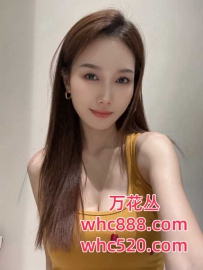 越秀归来风骚御姐-玫瑰